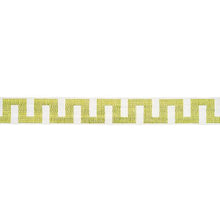 Load image into Gallery viewer, Schumacher Matrix Tape Narrow Trim 83921 / Leaf