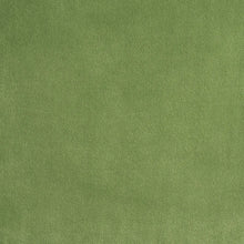 Load image into Gallery viewer, Alistair Indoor/Outdoor Velvet