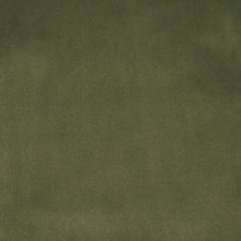 Load image into Gallery viewer, Alistair Indoor/Outdoor Velvet