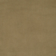 Load image into Gallery viewer, Alistair Indoor/Outdoor Velvet