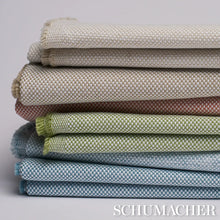 Load image into Gallery viewer, Schumacher Pippa Indoor/Outdoor Fabric 84174 Sky