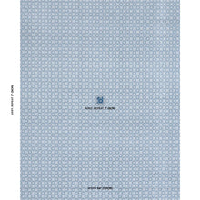 Load image into Gallery viewer, Schumacher Trianon Cut Velvet Fabric 84892 Azur