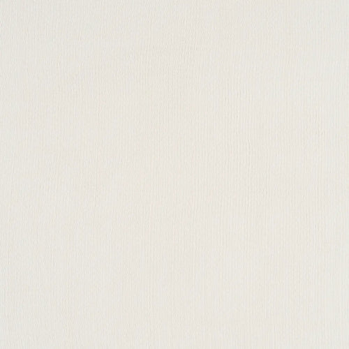 Schumacher Great Basin Sheer Fabric 85080 / White