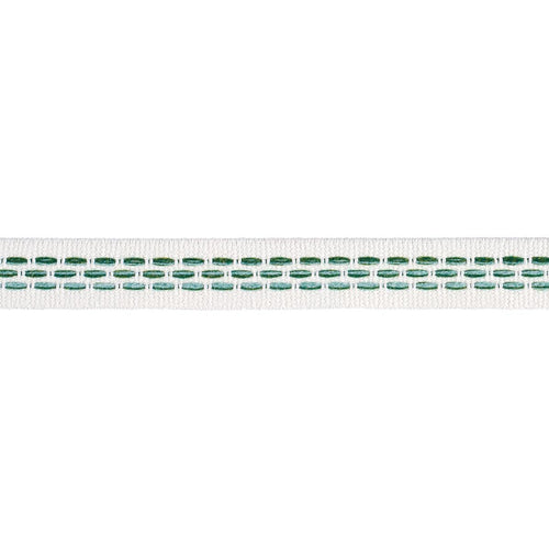 Schumacher Portola Tape Narrow Indoor/Outdoor Trim 85182 / Green
