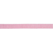 Load image into Gallery viewer, Schumacher Knox Tape Narrow Trim 85221 / Azalea