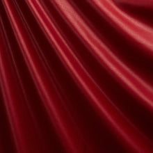 Load image into Gallery viewer, Schumacher Patent Linen Fabric 85271 / Red