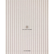 Load image into Gallery viewer, Hanson Indoor/Outdoor Stripe