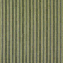 Load image into Gallery viewer, Schumacher Hanson Indoor/Outdoor Stripe Narrow Fabric 85815 / Green