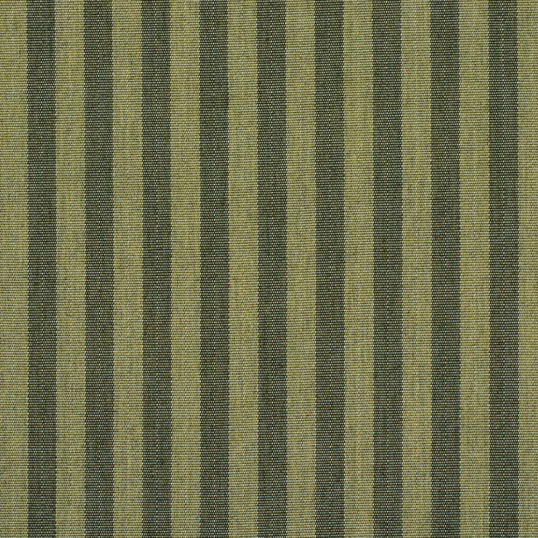 Schumacher Hanson Indoor/Outdoor Stripe Narrow Fabric 85815 / Green