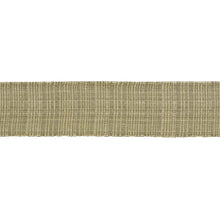 Load image into Gallery viewer, Schumacher Tweed Tape Wide Trim 86211 / Leaf