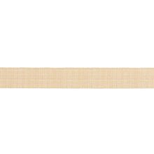 Load image into Gallery viewer, Schumacher Tweed Tape Wide Trim 86212 / Yellow