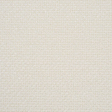 Load image into Gallery viewer, Schumacher Raye Performance Fabric 86260 / White