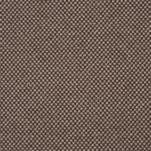Load image into Gallery viewer, Schumacher Raye Performance Fabric 86264 / Brown