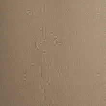 Load image into Gallery viewer, Vegan Leather Indoor/Outdoor
