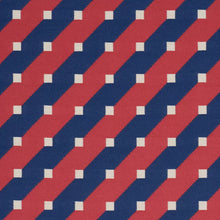Load image into Gallery viewer, Zilla Stripe