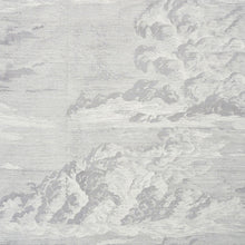 Load image into Gallery viewer, Pair of Custom Made Schumacher Cloud Toile Silk Pillow Covers - Both Sides