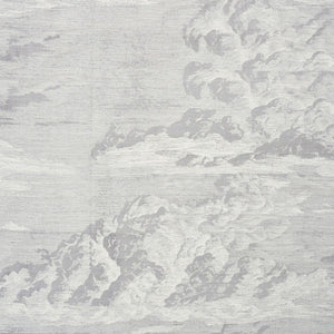 Pair of Custom Made Schumacher Cloud Toile Silk Pillow Covers - Both Sides