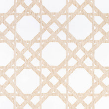 Load image into Gallery viewer, Set of Two Made to Order Thibaut CYRUS CANE SHEER Side Drapery Panels