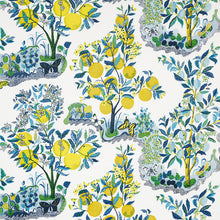 Load image into Gallery viewer, Pair of Custom Made Schumacher Citrus Garden Indoor Outdoor Pillow Covers - Both Sides