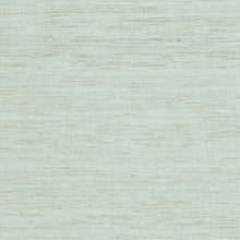 Load image into Gallery viewer, Pillow Thibaut Pradesh