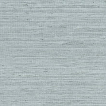 Load image into Gallery viewer, Pillow Thibaut Pradesh