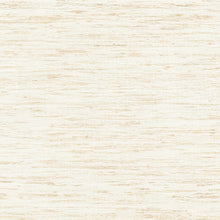 Load image into Gallery viewer, Pillow Thibaut Pradesh