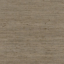 Load image into Gallery viewer, Pillow Thibaut Pradesh