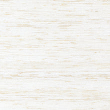 Load image into Gallery viewer, Pillow Thibaut Pradesh