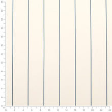 Load image into Gallery viewer, Heavy Duty Cream French Blue Stripe Upholstery Drapery Fabric