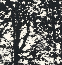Load image into Gallery viewer, Pair of Custom Made Schumacher Woodland Pillow Covers - Both Sides