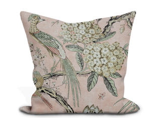 Thibaut Villeneuve Pillow