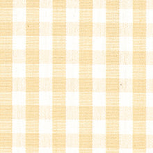 Load image into Gallery viewer, Thibaut Leighton Check Pillow