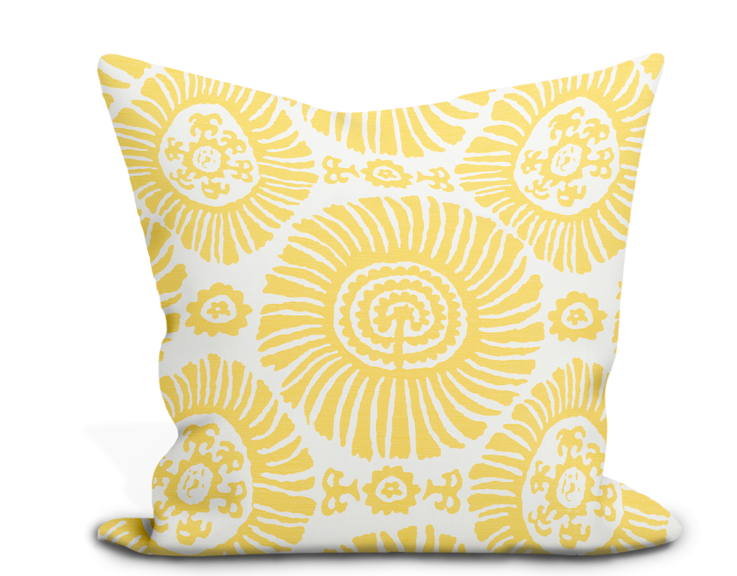 Thibaut Solis Pillow