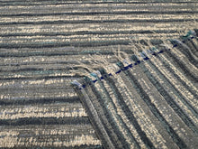 Load image into Gallery viewer, Perennials Wild Child Ice Queen 984-382 No Hard Feelings Collection Woven Indoor Outdoor Upholstery Fabric