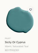 Load image into Gallery viewer, Custom Paint Order