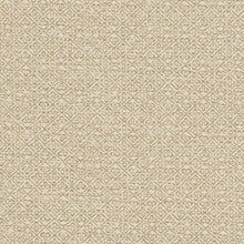 Load image into Gallery viewer, Pair of Custom Made Schumacher Sarong Weave Indoor/Outdoor Pillow Covers - Both Sides