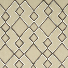 Load image into Gallery viewer, Pair of Custom Made Schumacher Branson Embroidery Pillow Covers - Both Sides