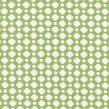Load image into Gallery viewer, Pair of Custom Made Schumacher Betwixt Pillow Covers - Both Sides