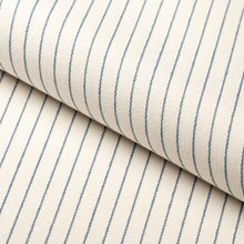 Load image into Gallery viewer, Heavy Duty Cream Blue Stripe Upholstery Drapery Fabric