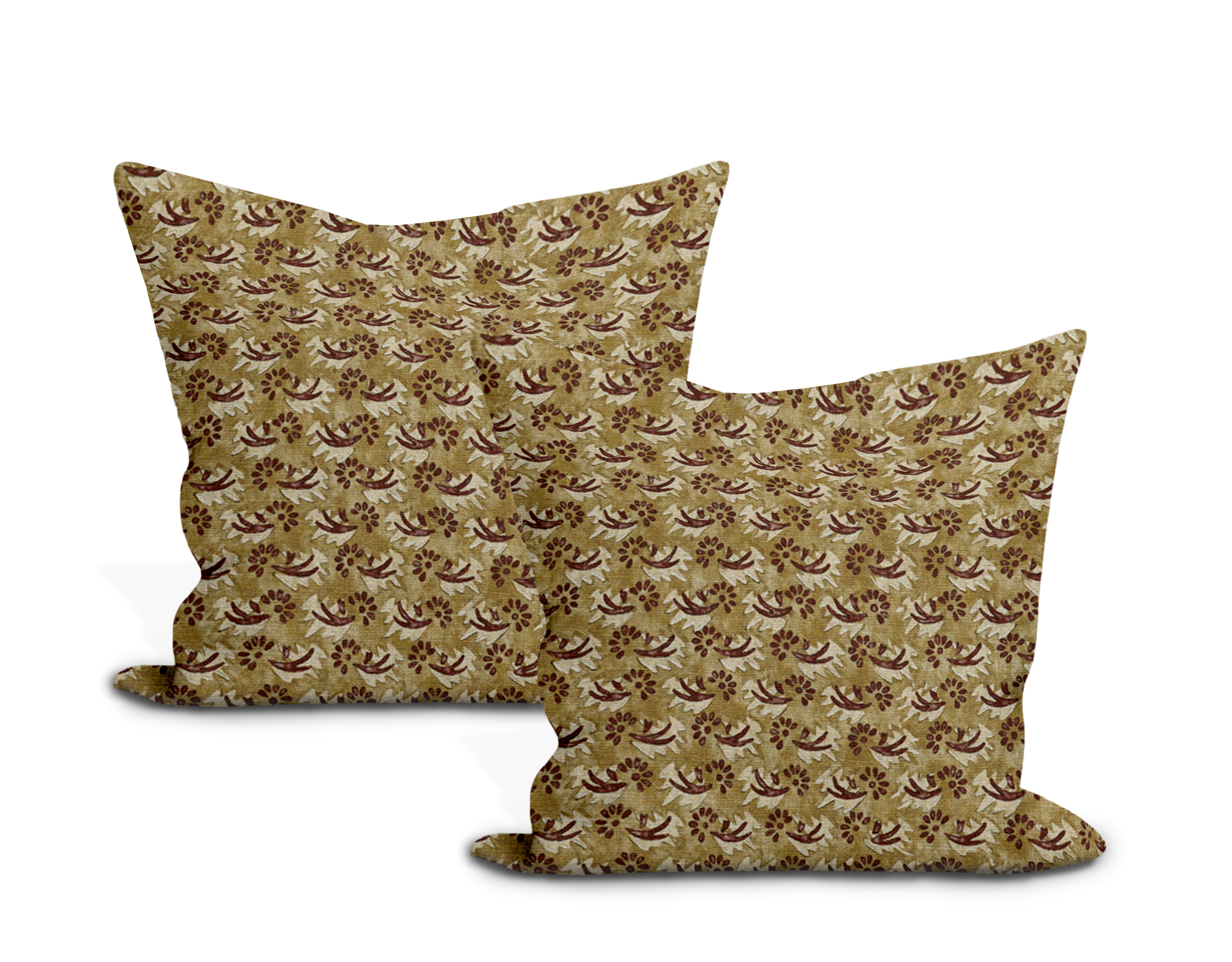 ZAK_FOX_Zoa_ZFZOAPT-