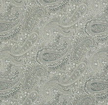 Load image into Gallery viewer, Spanish Made Paisley Turquoise Aqua Blue Grey White Upholstery Drapery Fabric CF