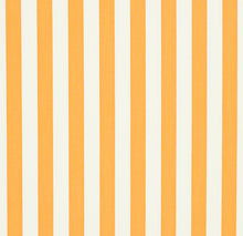 Load image into Gallery viewer, Heavy Duty Outdoor Solution Dyed Acrylic Light Yellow Cream Stripe Upholstery Drapery Fabric CF