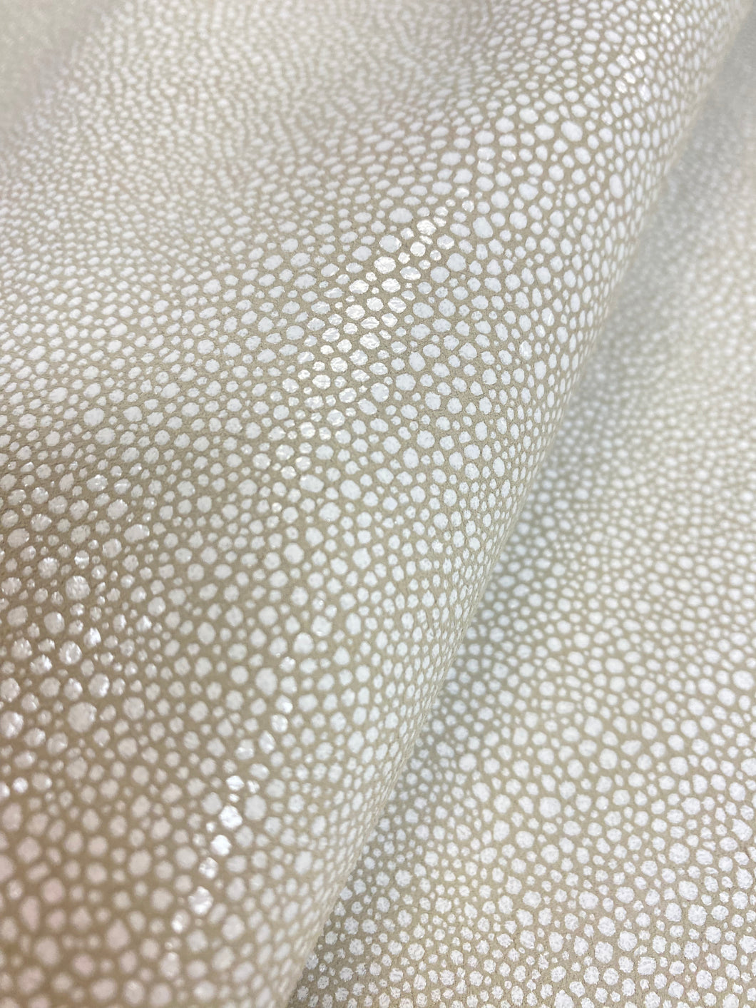 11.5 SF Greige Beige Stingray Animal Skin Glossy Genuine Leather Upholstery WHS 4314