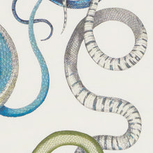 Load image into Gallery viewer, SCHUMACHER GIOVE FABRIC 177660 / EMERALD &amp; SAPPHIRE