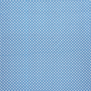 SCHUMACHER SERENDIPITY FABRIC 177960 / BLUE