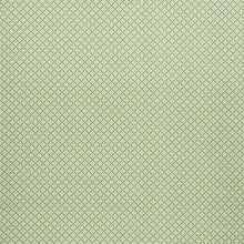 Schumacher Serendipity Fabric Green | Fabric Bistro | Columbia