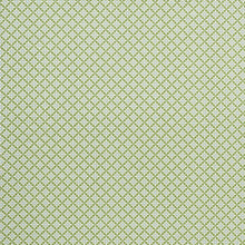 Load image into Gallery viewer, SCHUMACHER SERENDIPITY FABRIC 177961 / GREEN