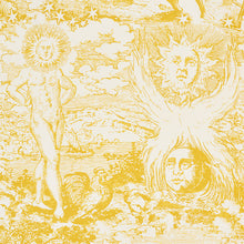Load image into Gallery viewer, SCHUMACHER MODERN TOILE FABRIC 178622 / YELLOW