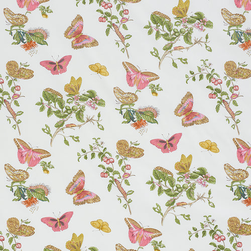 SCHUMACHER BAUDIN BUTTERFLY CHINTZ FABRIC 178720 / BLUSH