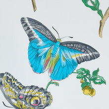 Load image into Gallery viewer, SCHUMACHER BAUDIN BUTTERFLY CHINTZ FABRIC 178721 / TURQUOISE